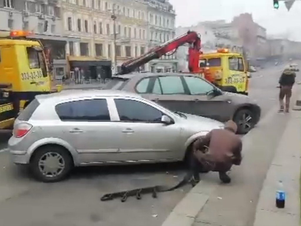 Инспекторы начали «зачищать» центр: появилось видео эвакуации авто «героев парковки» в сердце Киева