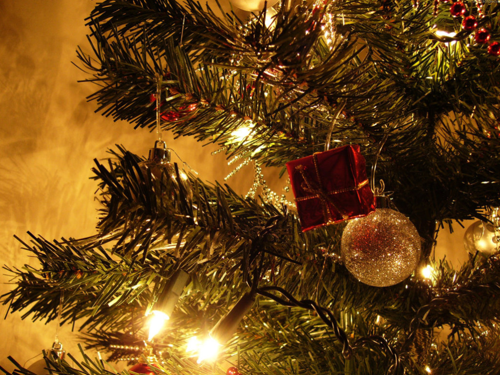 Праздничные традиции и изжога: ТОП-5 книг о необычных способах праздновать Рождество и Новый год