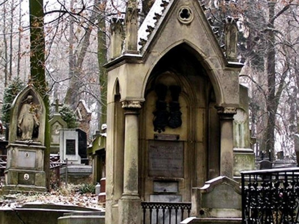 Польские историки приступили к поисковым работам на кладбище во Львове