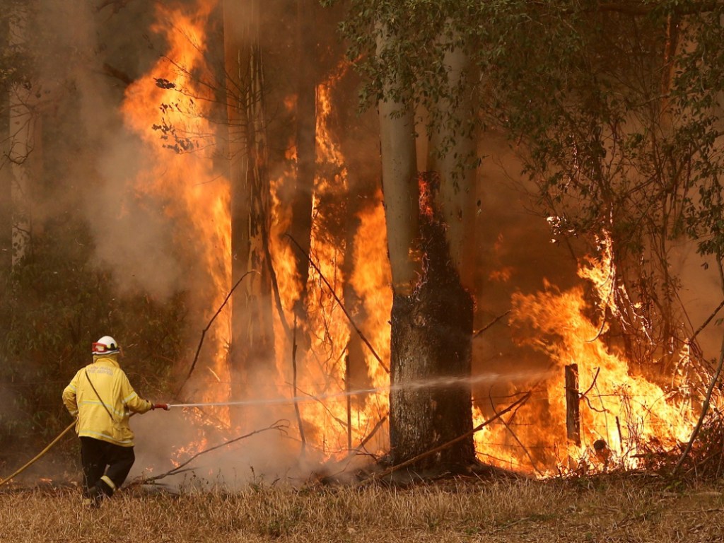 Австралию затянуло дымом от лесных пожаров