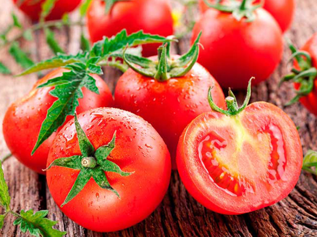 Специалисты рассказали о пользе и удивительных свойствах томатов