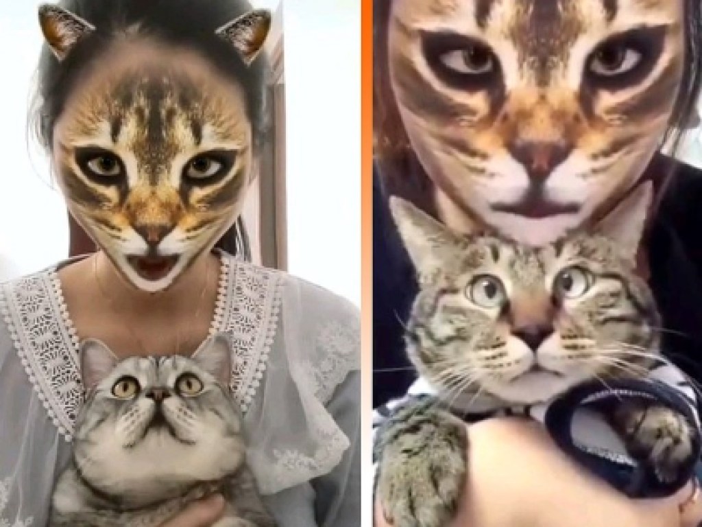 Реакция животных бесценна: Пользователи Сети шокируют котов с помощью масок (ФОТО, ВИДЕО)