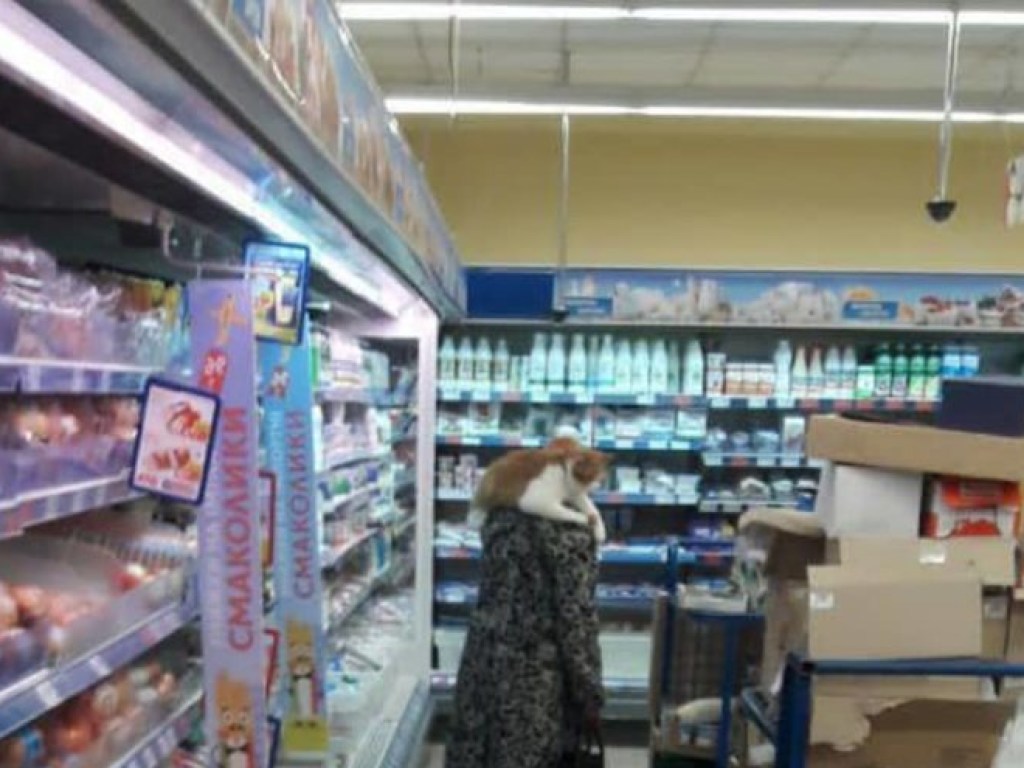 По запорожскому супермаркету гуляла женщина с котом-«воротником» (ФОТО)