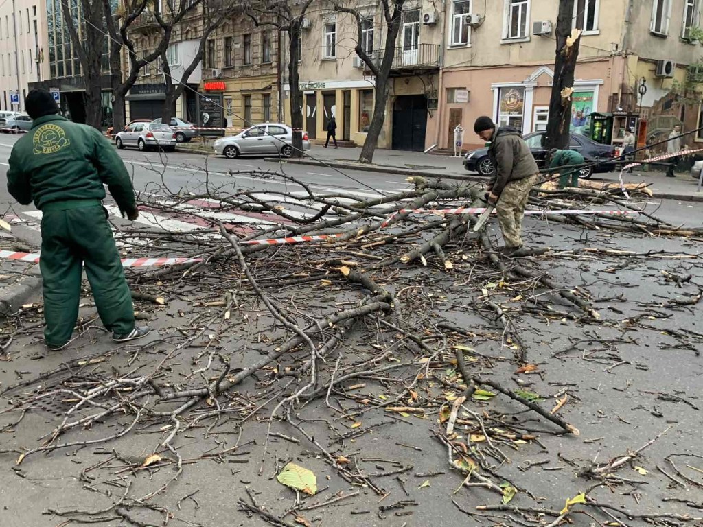 Шторм в Украине: Шквальный ветер повалил деревья в Одессе (ФОТО)