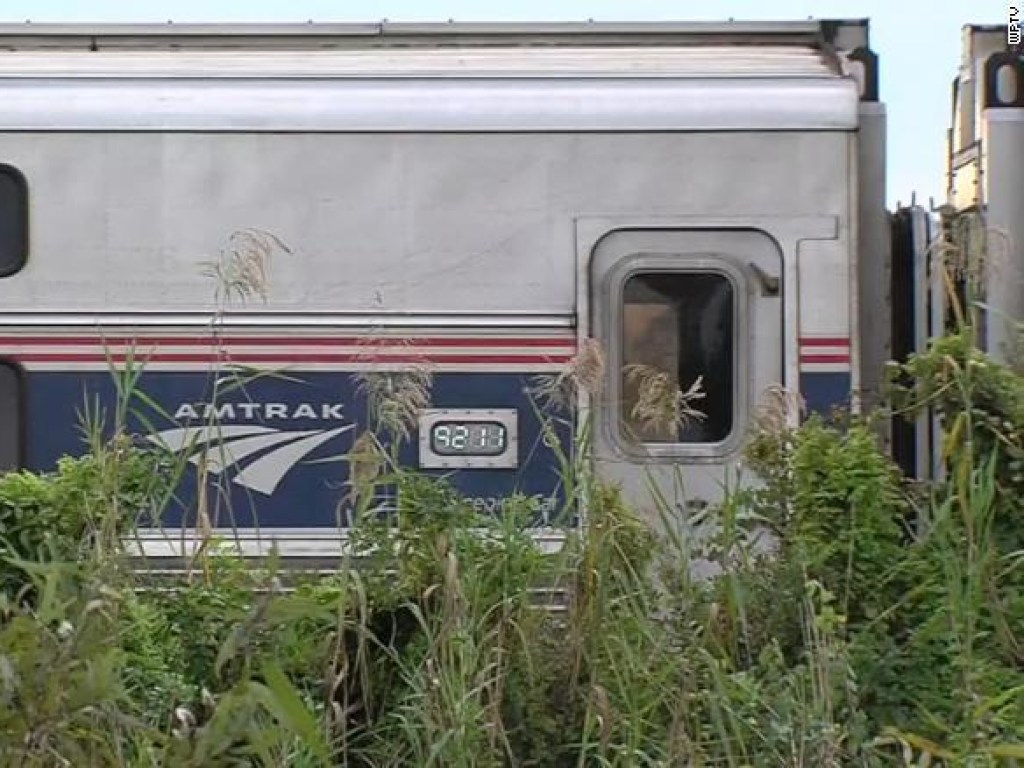 В США пассажирский поезд снес автомобиль: трое погибших (ФОТО)
