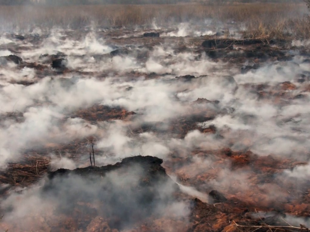 Пожар охватил 2 гектара площади: В Хмельницкой области начал гореть торф
