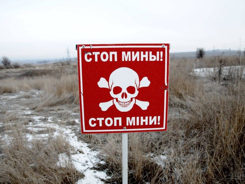 В Украине от мин больше всего страдают дети и мирное население – эксперт