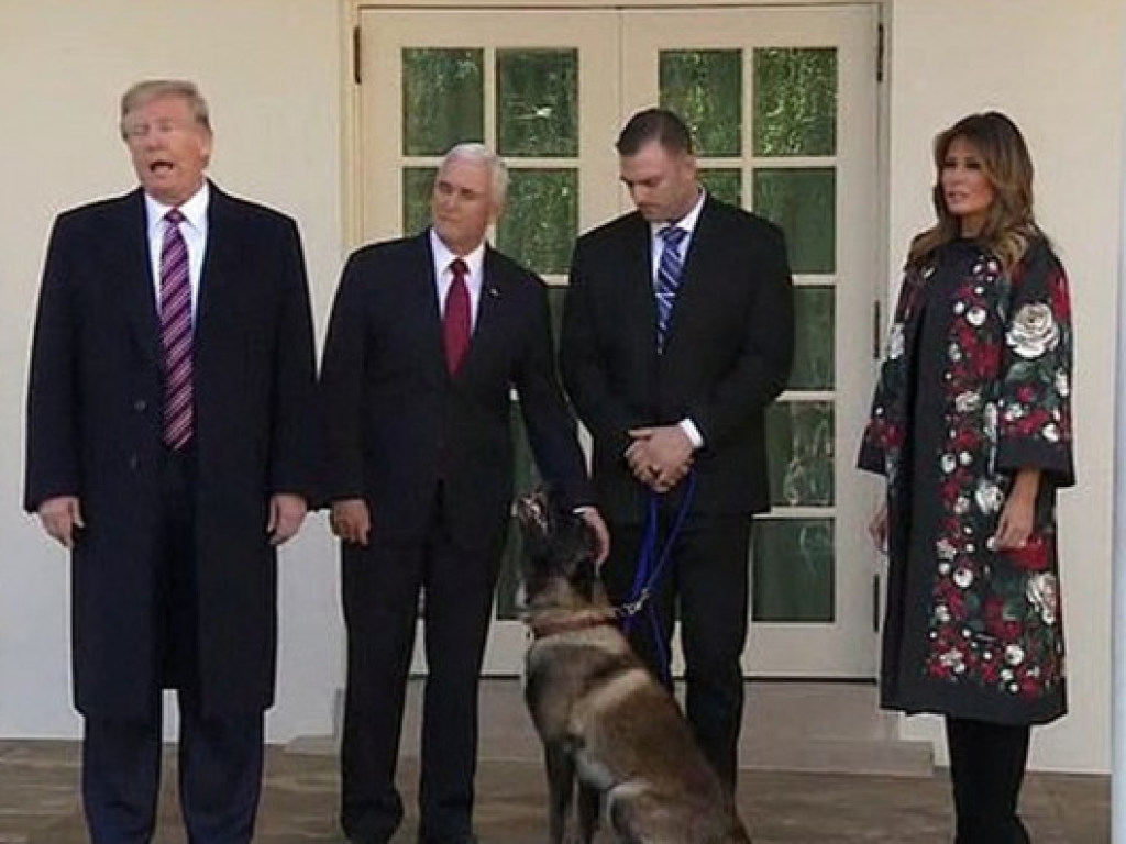 Трамп наградил «самую знаменитую собаку в мире» (ФОТО, ВИДЕО)