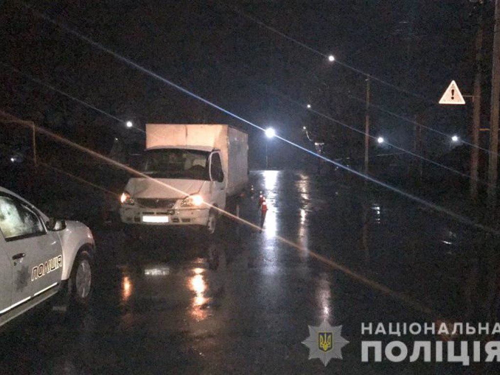 В Донецкой области «Газель» сбила двух женщин-пешеходов, одна погибла (ФОТО)