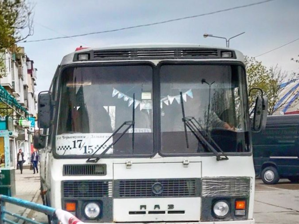 Бросались под колеса и били по кабине: в Бердянске двое мужчин пытались захватить автобус (ВИДЕО)