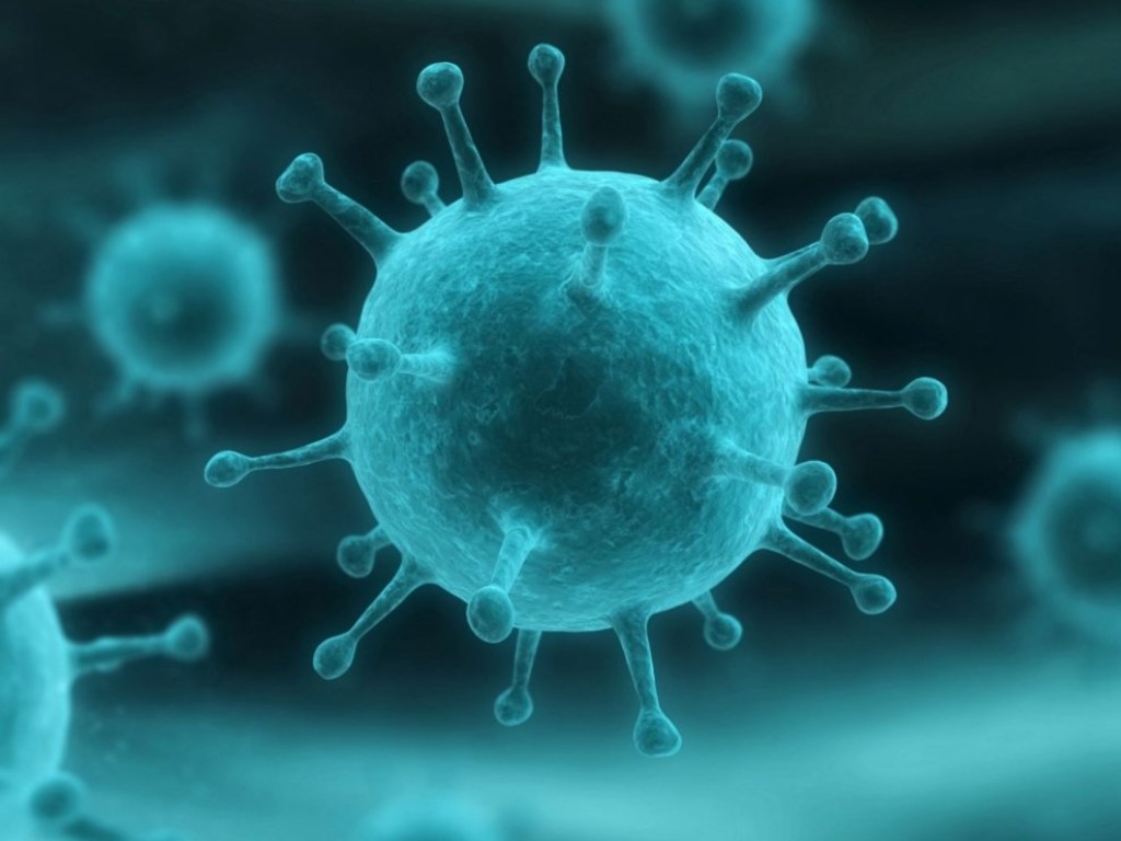 В конце сентября вирус гриппа В в Украину завезли из Индии &#8212; эпидемиолог