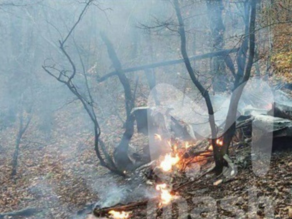 В России вертолет потерпел крушение, погиб бизнесмен (ФОТО, ВИДЕО)