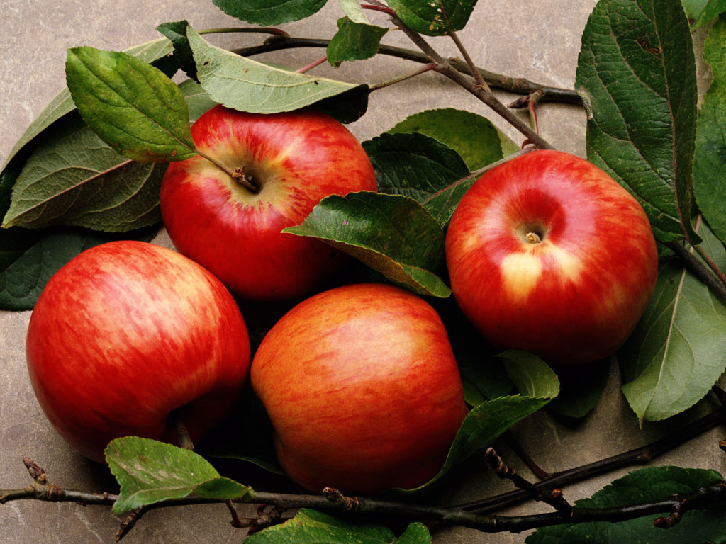 В Украине рекордно подорожали яблоки