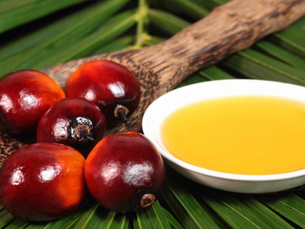 Эксперты опровергли миф о вреде пальмового масла