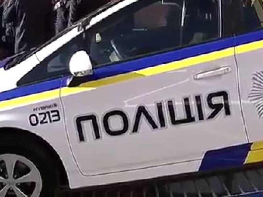 Похищали элитные авто: в Киевской области задержали банду автоворов (ВИДЕО)