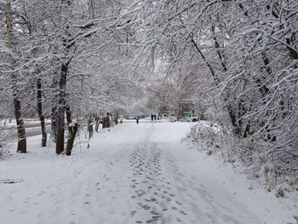 В Полтавской области выпало больше всего снега по Украине – Укргидрометцентр (КАРТА)