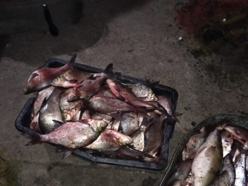 Материальный ущерб составляет 38 тысяч гривен: на Киевщине рыбаки угрожали поджечь работников Госрыбагентства (ФОТО)