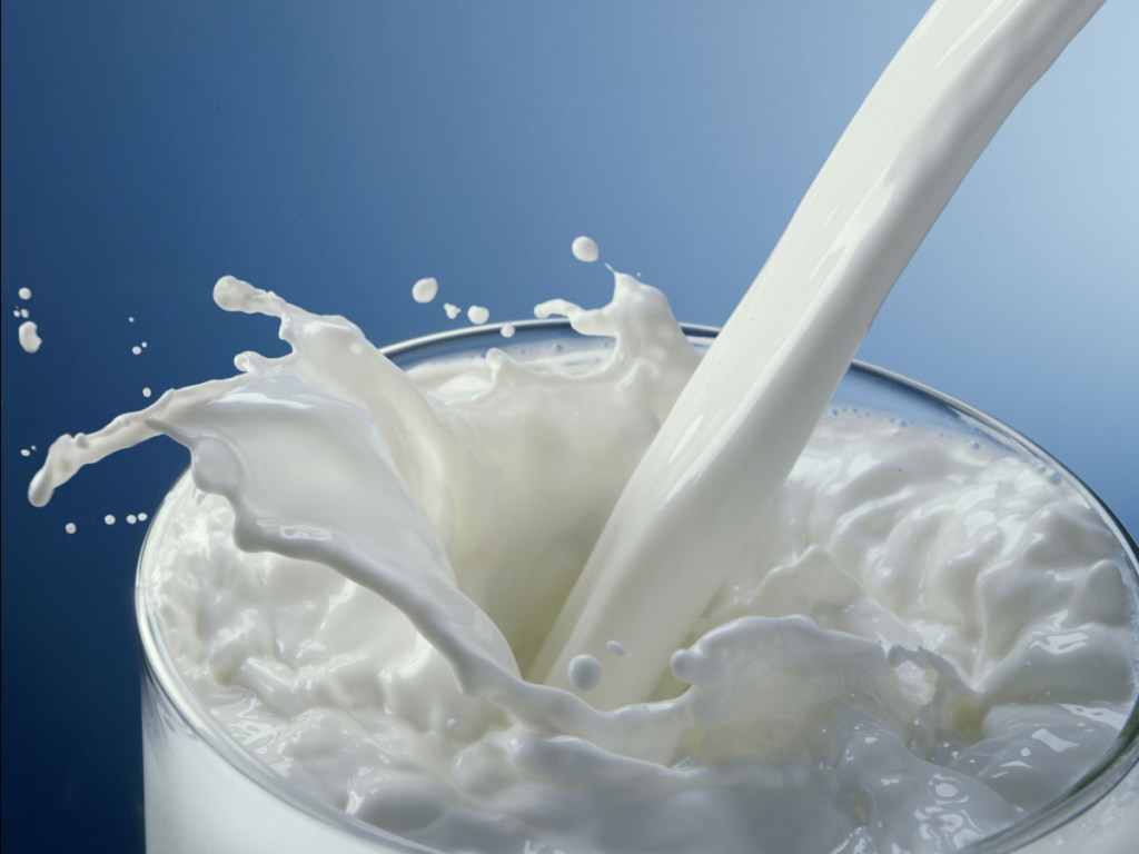 Эксперты рассказали о вреде «вегетарианского» молока