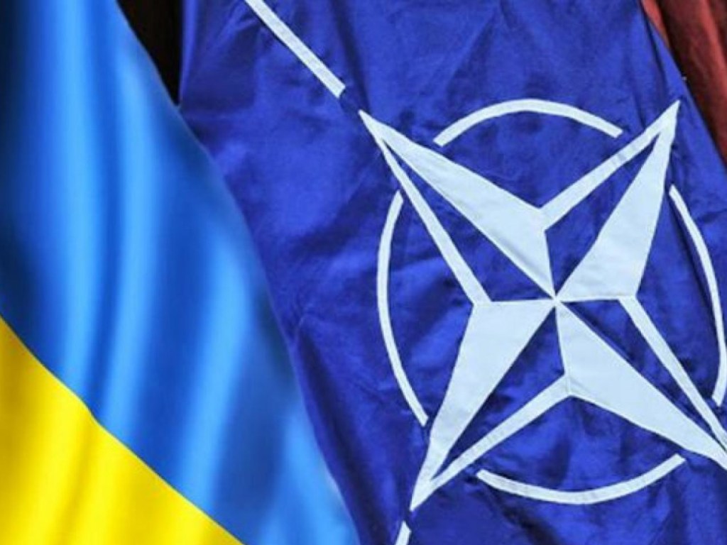 На саммите НАТО не будет сделано «громких» заявлений по Украине – европейский эксперт