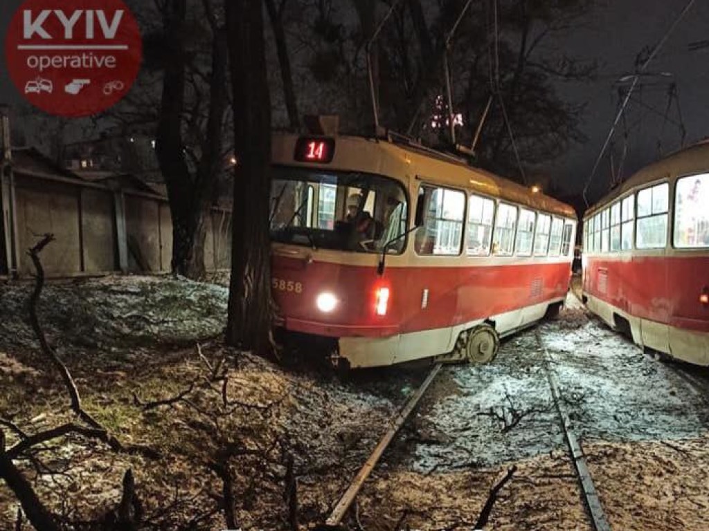 В Киеве трамвай врезался в дерево (ФОТО)