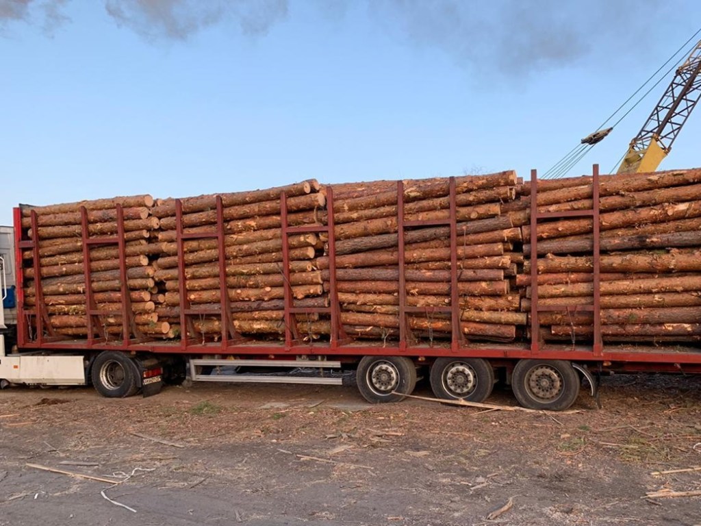 Сотрудники полиции и СБУ провели обыски в лесхозах Житомирской области (ФОТО)
