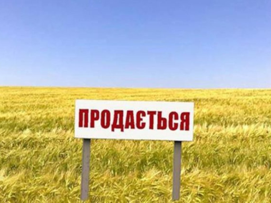 Экс-министр сельского хозяйства Литвы: украинцы пожалеют о продаже земли иностранным корпорациям