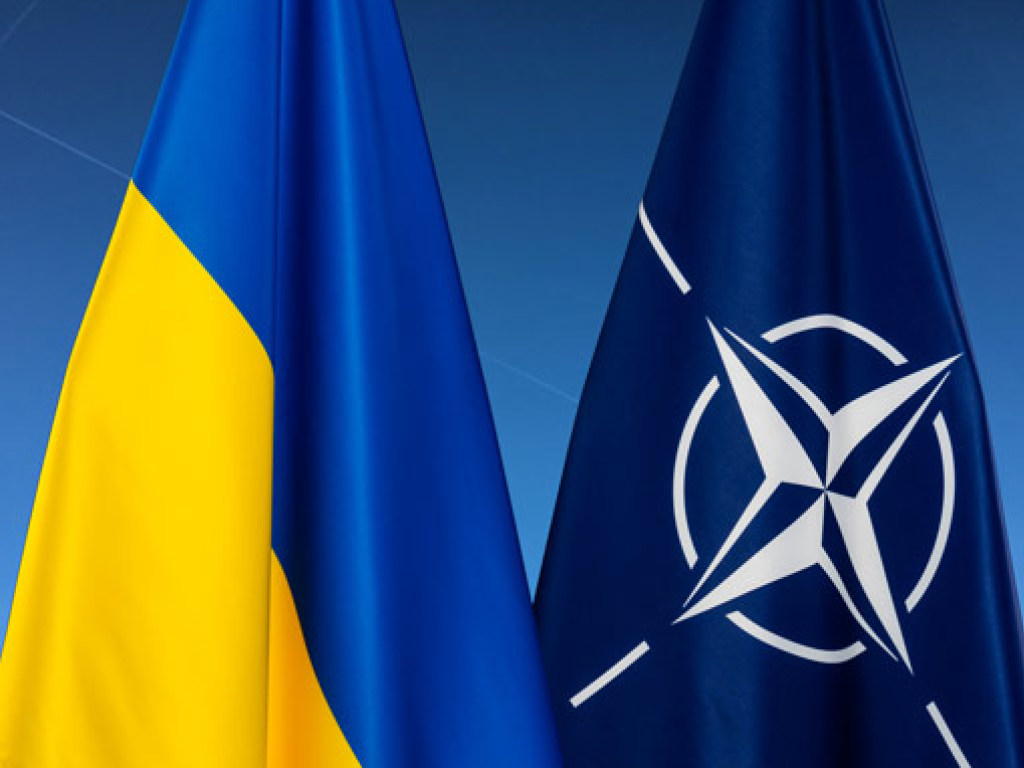 Украина может вступить в НАТО и без ПДЧ – депутат