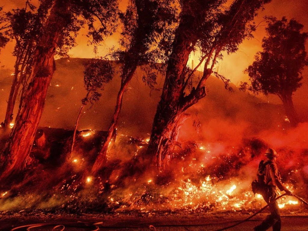 В Австралии объявили ЧП из-за лесных пожаров