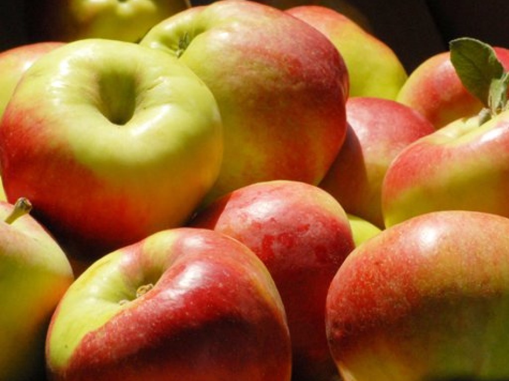 Импорт яблок в Украину вырос в шесть раз