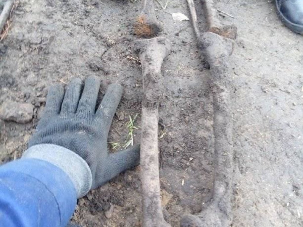 В Борисполе возле школы нашли столетние скелеты в гробах (ФОТО)