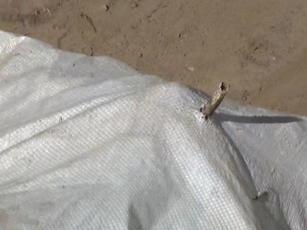 В лесополосе под Одессой обнаружили мешок с человеческими останками