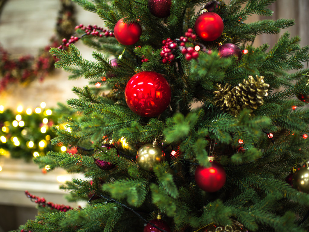 Выбираем новогоднюю елку: красивую, свежую и безопасную