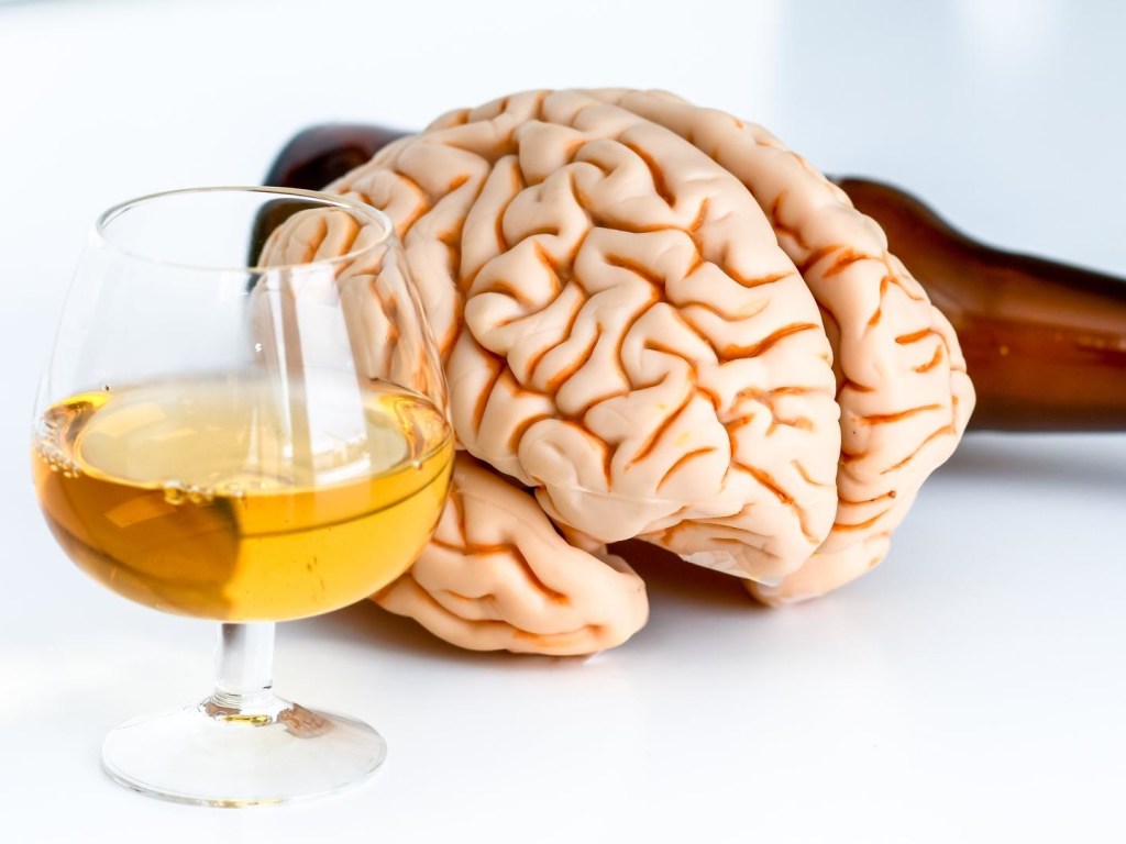 Биологи нашли группу нейронов, отвечающих за формирование алкогольной зависимости
