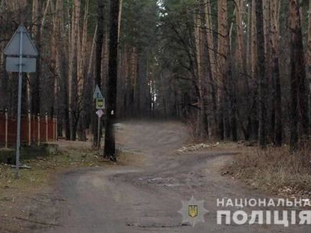 Искали 10 дней: В Киеве в лесу нашли тело подростка, который покончил с собой (ФОТО)
