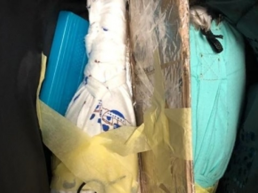 В аэропорту «Борисполь» пограничники обнаружили в багаже мужчины краснокнижных птиц  (ФОТО, ВИДЕО)