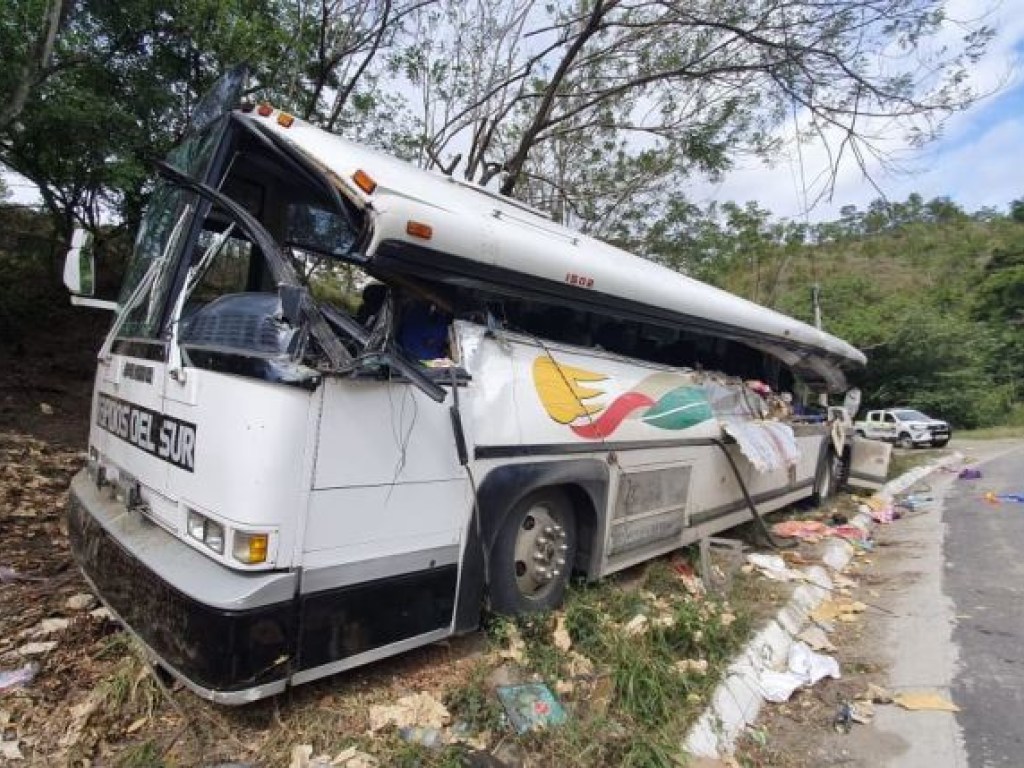 В Гватемале грузовик протаранил автобус: 22 человека погибли, 11 пострадали (ФОТО)