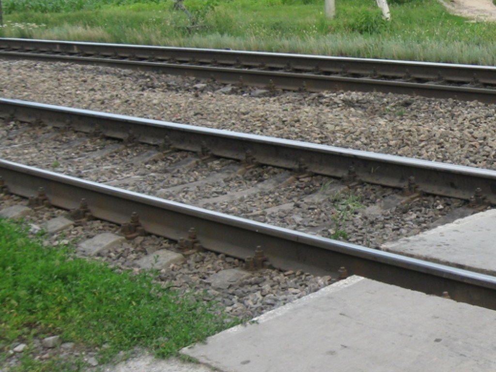 В Николаеве грузовой поезд на переезде сбил человека (ВИДЕО)