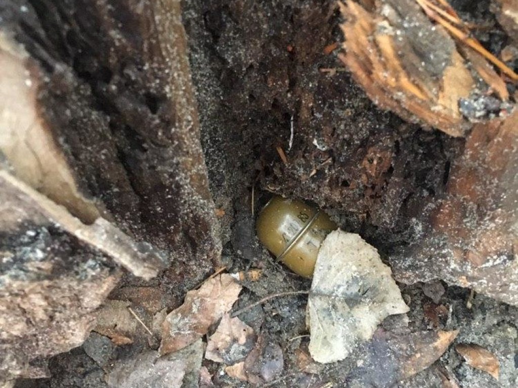В Харькове во дворе жилого дома нашли гранату (ФОТО)