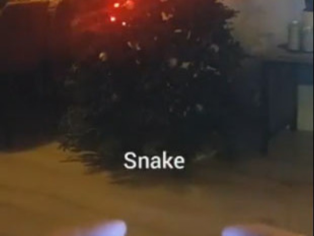 Программист придумал, как поиграть в змейку на новогодней елке (ФОТО, ВИДЕО)