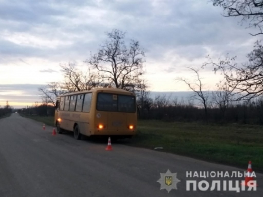 В Запорожской области школьный автобус столкнулся с автоцистерной (ФОТО)