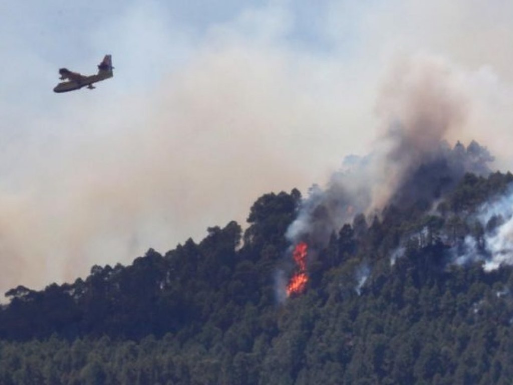 В лесу в Грузии вспыхнуло 10 пожаров