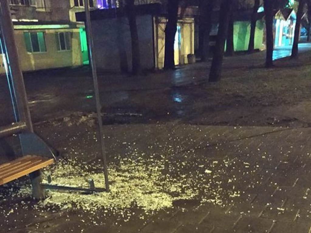 Во Львове развалили новую стеклянную остановку: горожане в Сети негодуют (ФОТО)