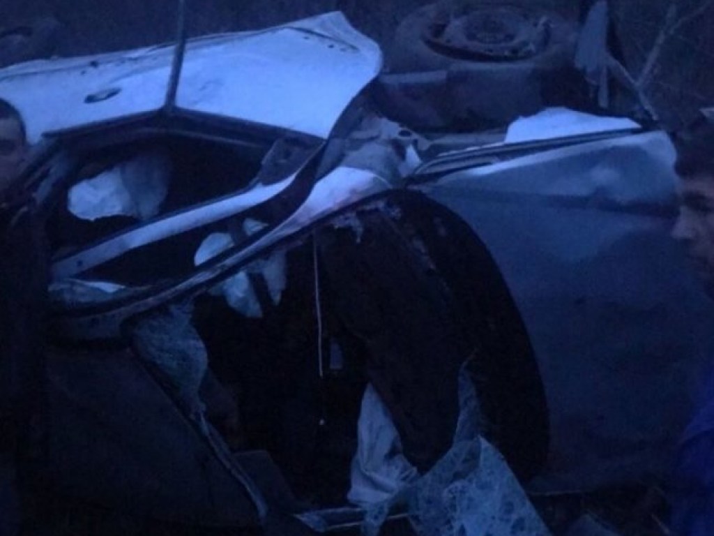 Пьяный водитель вылетел в лесополосу под Херсоном и чудом остался жив (ФОТО)