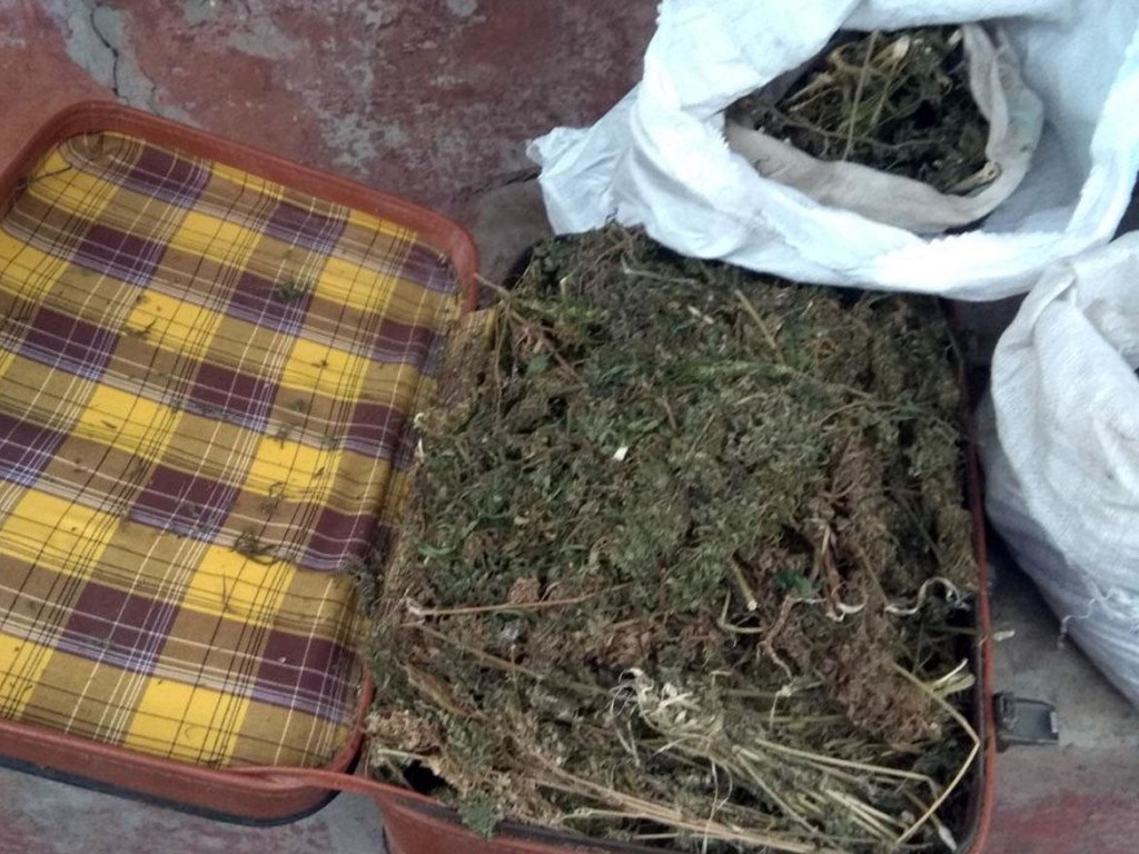 У жителя Донбасса обнаружили 8 килограмм конопли (ФОТО)