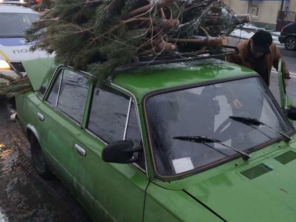 На Киевщине патрульные задержали ВАЗ с незаконно вырубленными елками (ФОТО)