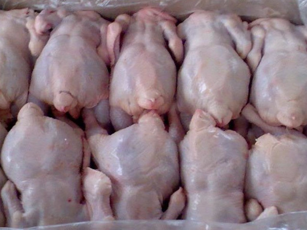 Обман покупателей: в Киеве продают куриные тушки, нашпигованные для веса светлым гелем (ВИДЕО)