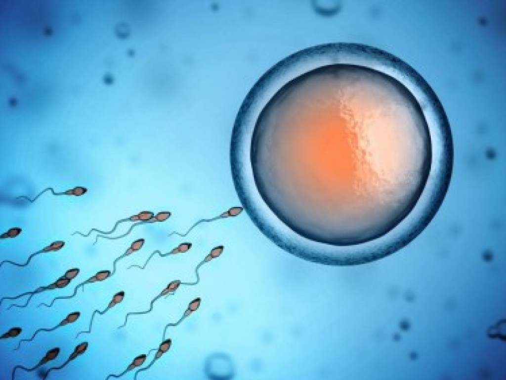Шведские ученые установили связь между питанием и качеством спермы у мужчин