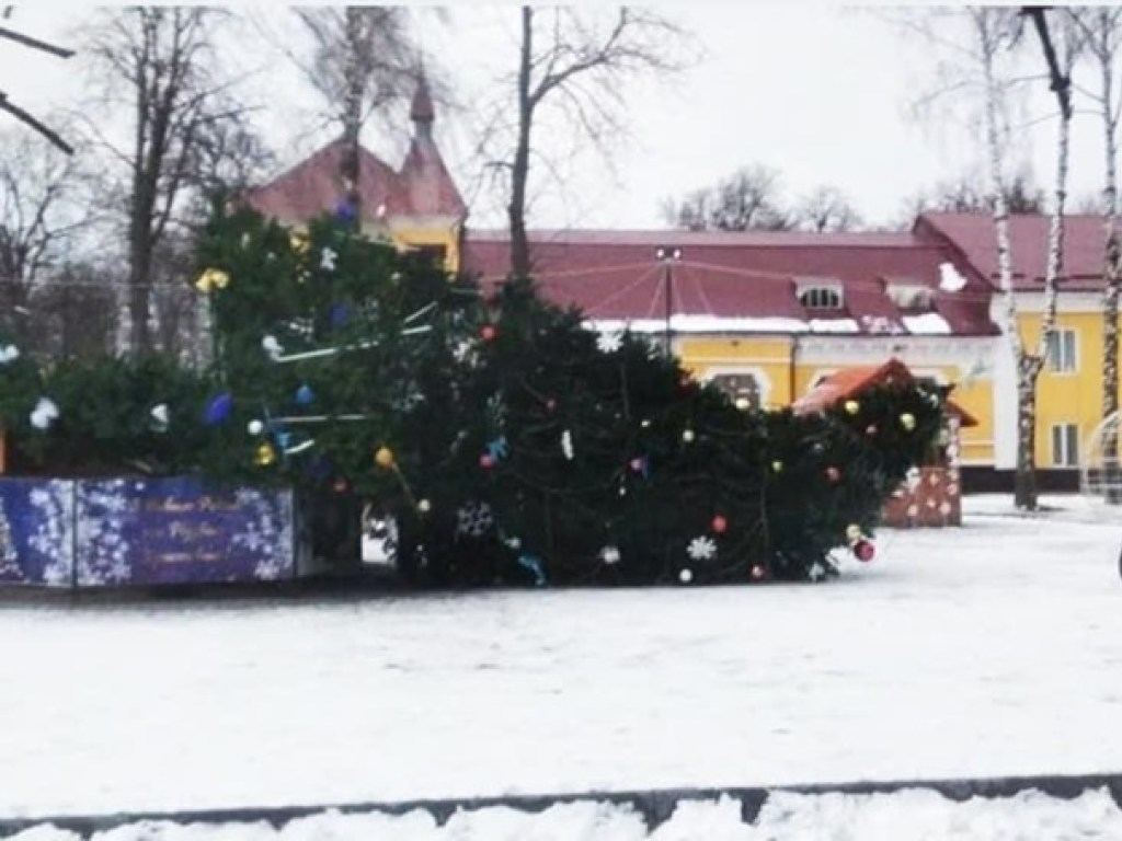 Сдуло ветром: На Хмельниччине упала главная городская елка (ФОТО)