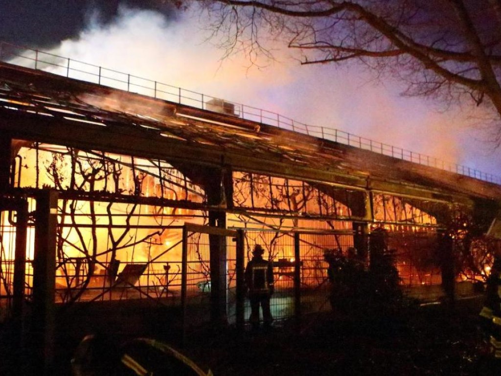 Стали известны причины пожара в немецком зоопарке (ФОТО, ВИДЕО)