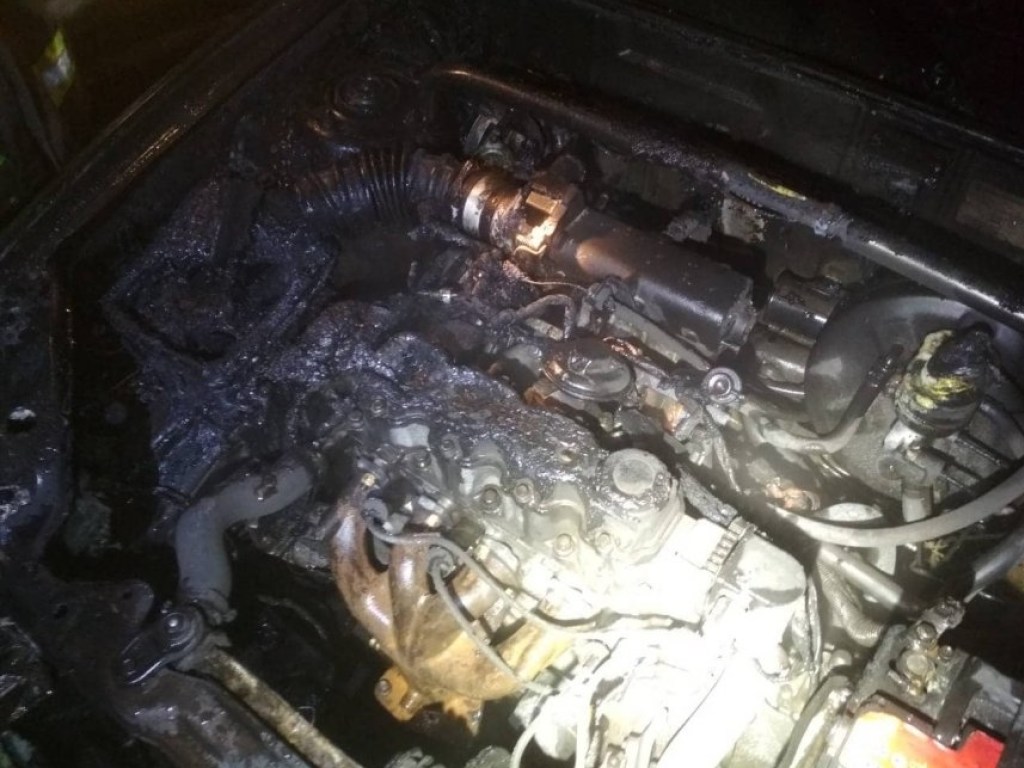 На Николаевщине горел Daewoo Lanos: огонь уничтожил мотор (ФОТО)